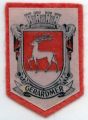 Blason de la ville.jpg